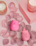 Erodit Oral Pleasure gift set Pink, USB rechargeable